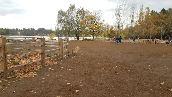 Willamette Park Off-Leash Dog Area 2