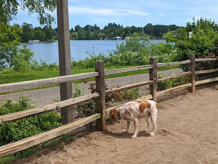 Willamette Park Off-Leash Dog Area 9
