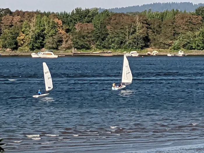 Willamette Park Off-Leash Dog Area 1