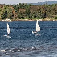 Willamette Park Off-Leash Dog Area ico