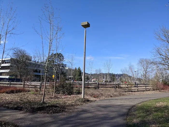 Willamette Park Off-Leash Dog Area 3