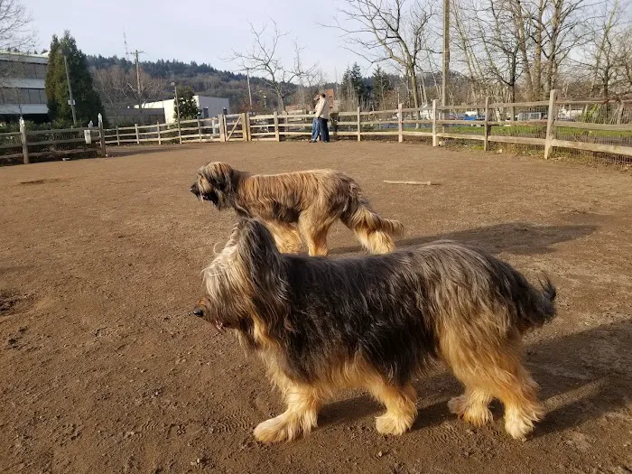 Willamette Park Off-Leash Dog Area 7