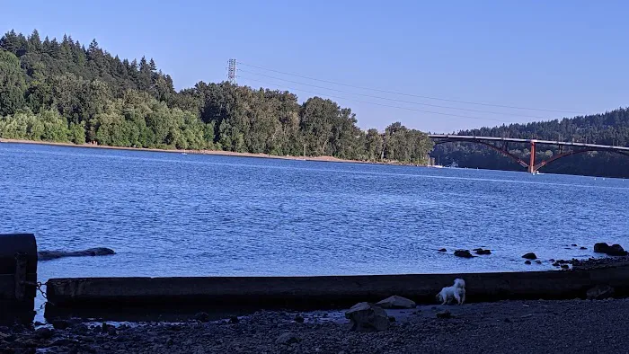 Willamette Park Off-Leash Dog Area 8