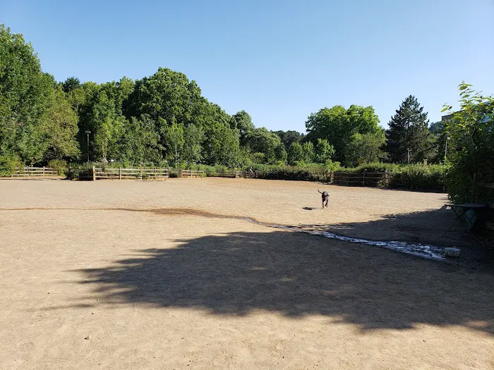 Willamette Park Off-Leash Dog Area 6