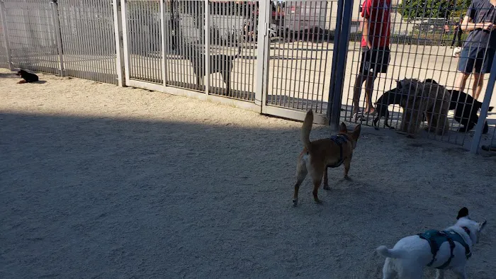 Fenced Off-Leash Dog Area 5