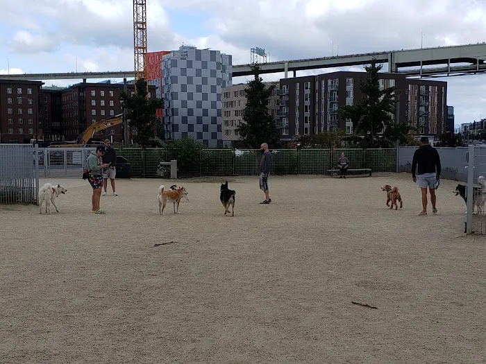 Fenced Off-Leash Dog Area 7
