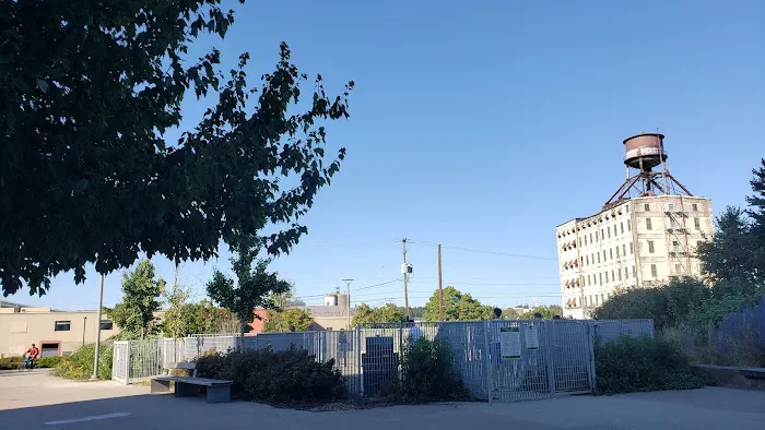 Fenced Off-Leash Dog Area 4