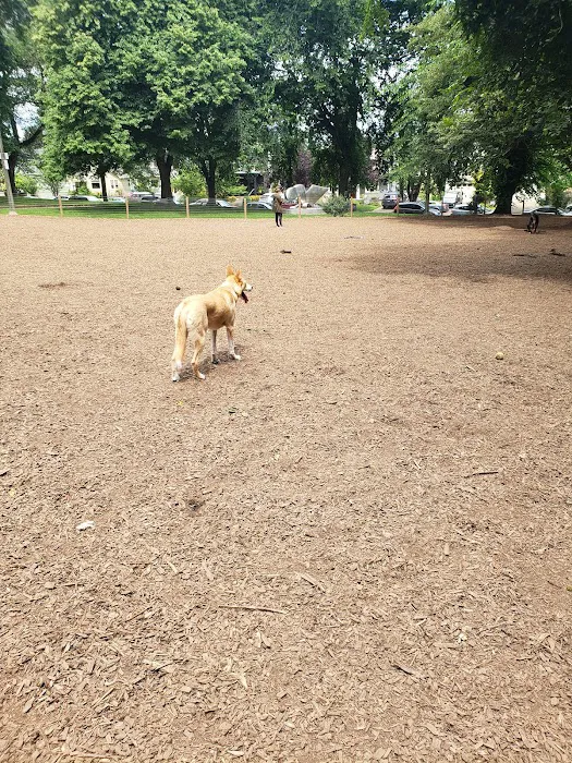 Wallace Dog Park 5