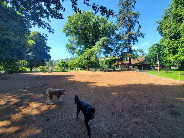 Wallace Dog Park 3