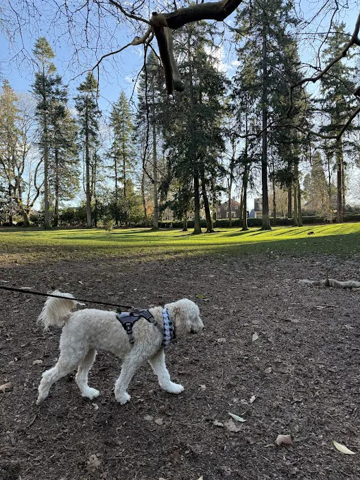 Laurelhurst Off-Leash Dog Area 1
