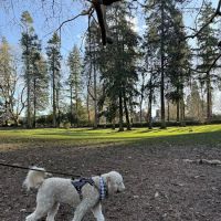 Laurelhurst Off-Leash Dog Area ico
