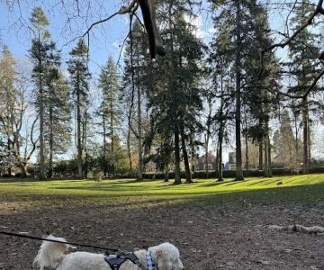 Laurelhurst Off-Leash Dog Area