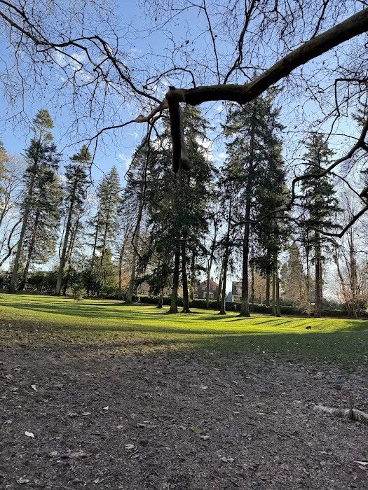 Laurelhurst Off-Leash Dog Area 2