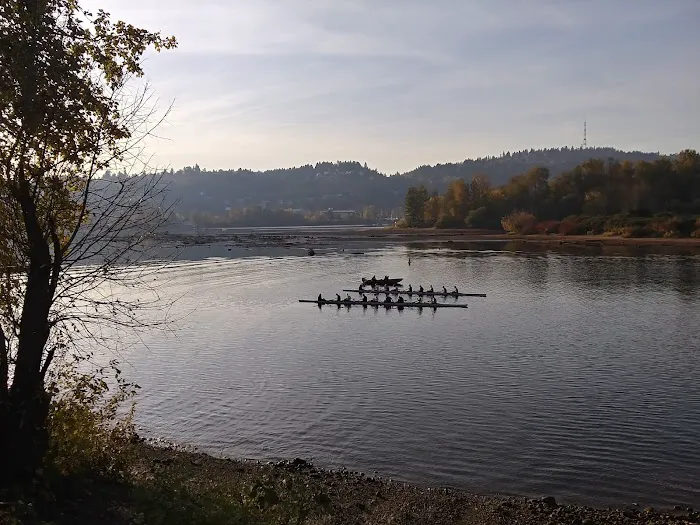 Sellwood Off-Leash Dog Park 4