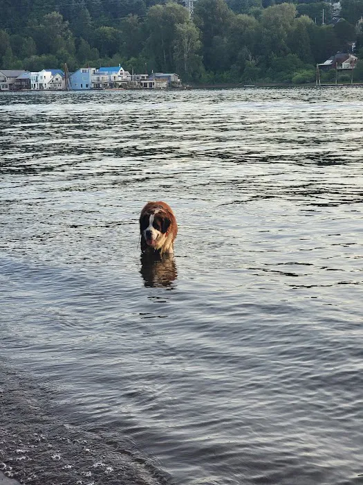 Sellwood Off-Leash Dog Park 1