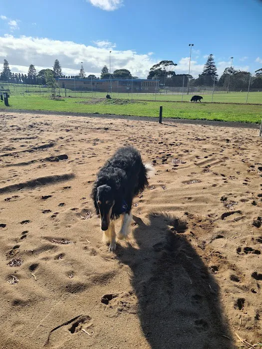 Sellwood Off-Leash Dog Park 8
