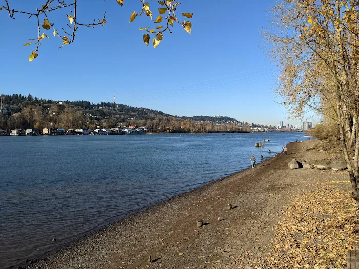 Sellwood Off-Leash Dog Park 7