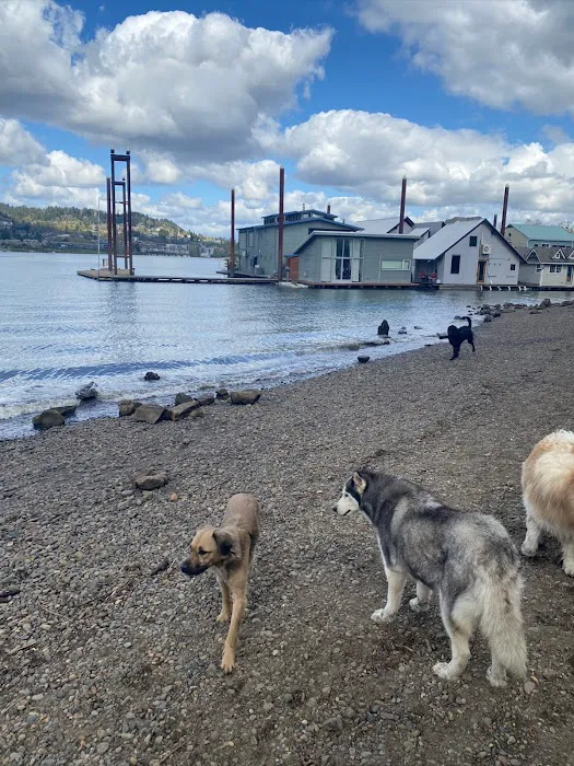 Sellwood Off-Leash Dog Park 10