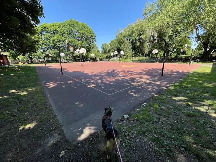 Irving Park Dog Park 1