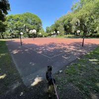 Irving Park Dog Park ico