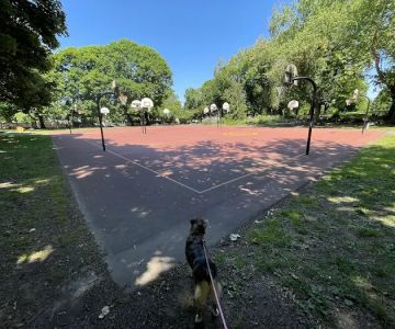 Irving Park Dog Park