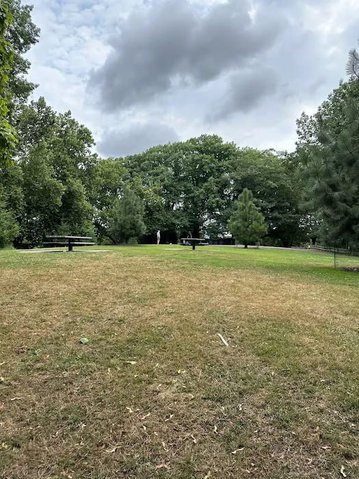 Irving Park Dog Park 6