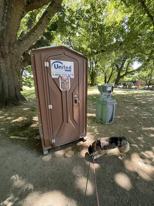 Irving Park Dog Park 5
