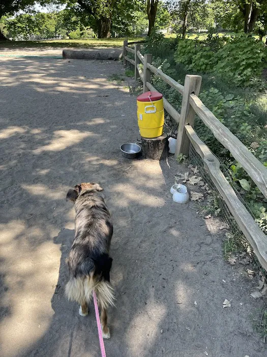 Irving Park Dog Park 2