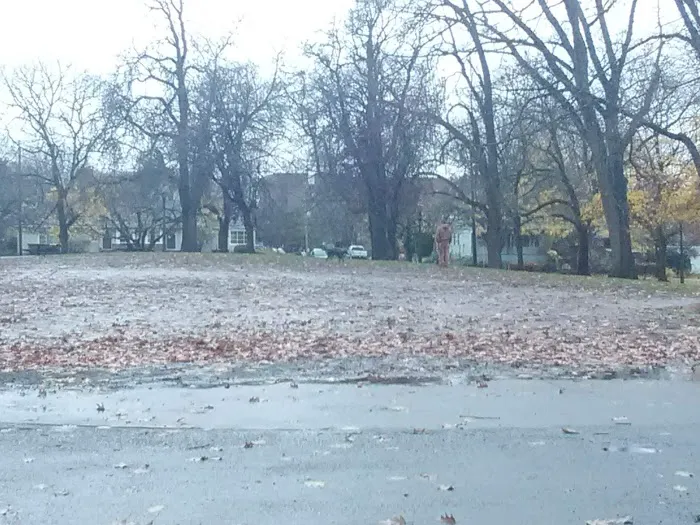 Irving Park Dog Park 8