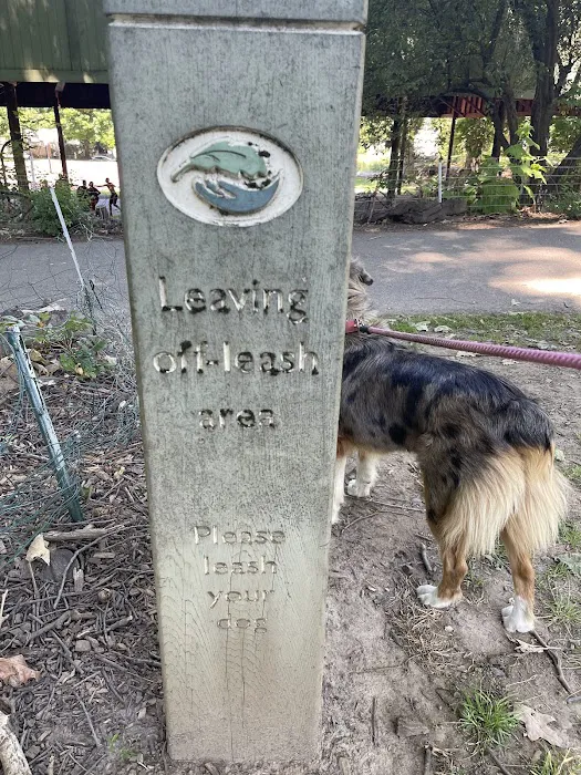 Irving Park Dog Park 4