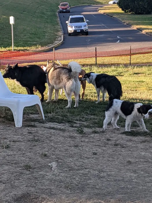 Gabriel Off-Leash Dog Park 2