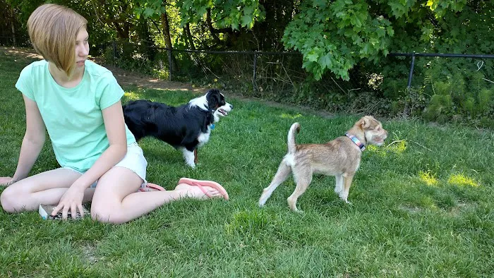 Gabriel Off-Leash Dog Park 3