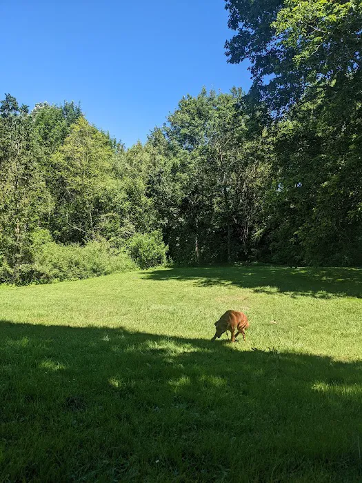 Gabriel Off-Leash Dog Park 8