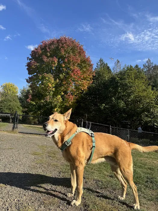 Gabriel Off-Leash Dog Park 1