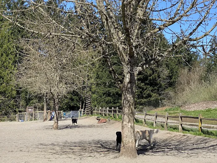 Gabriel Off-Leash Dog Park Winter 3