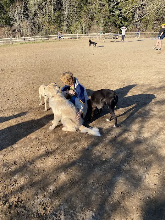 Gabriel Off-Leash Dog Park Winter 1
