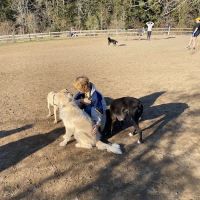 Gabriel Off-Leash Dog Park Winter ico