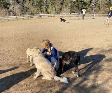 Gabriel Off-Leash Dog Park Winter