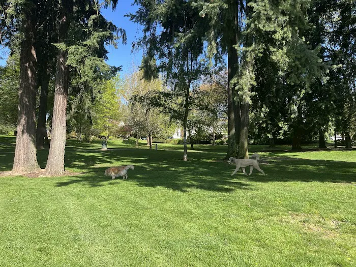 Off-Leash Dog Park 2