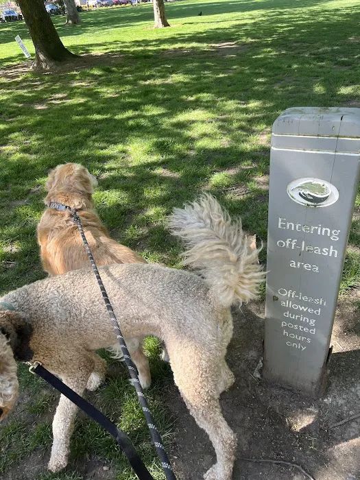 Off-Leash Dog Park 1