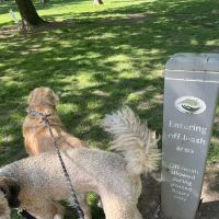 Off-Leash Dog Park ico