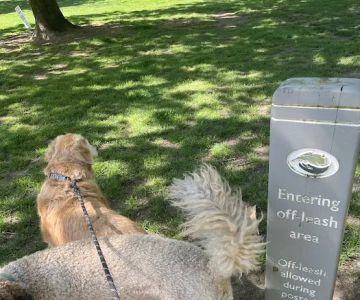 Off-Leash Dog Park