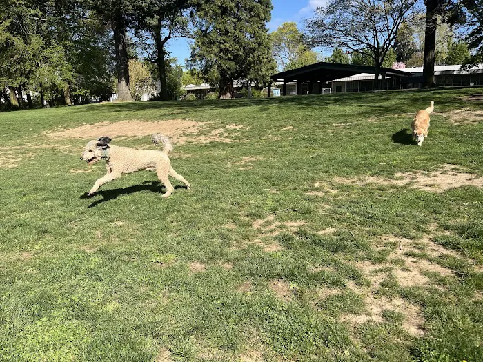 Off-Leash Dog Park 4