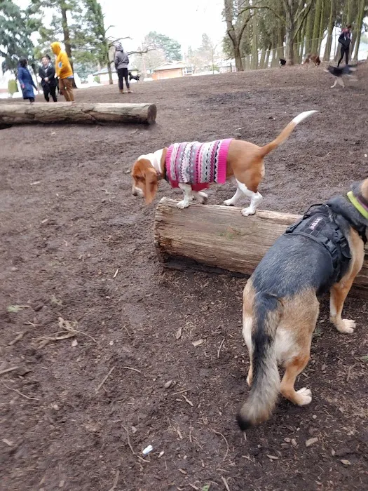 Normandale Dog Park 1