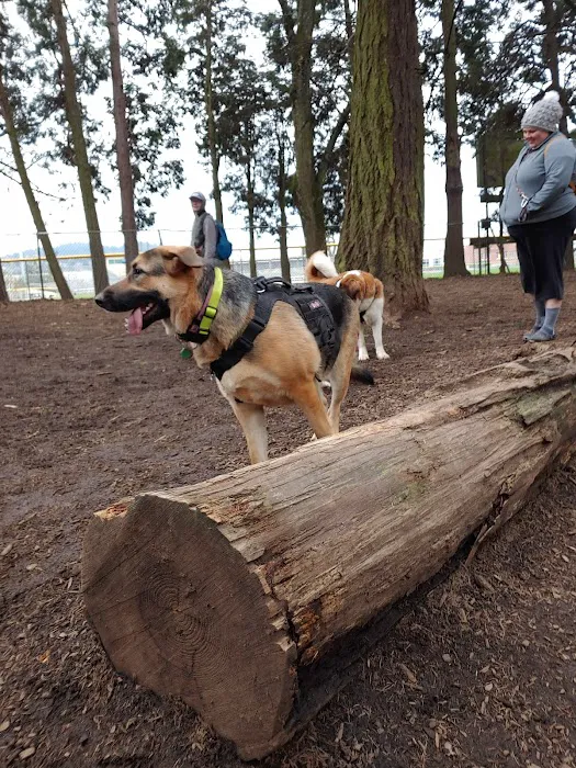 Normandale Dog Park 2