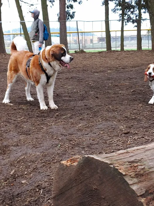 Normandale Dog Park 5