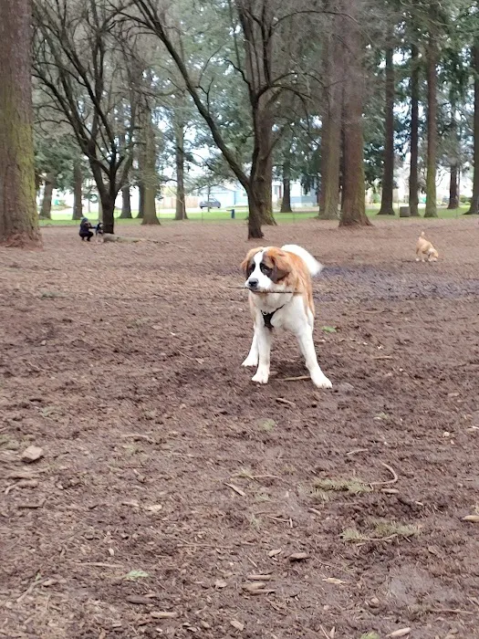 Normandale Dog Park 6
