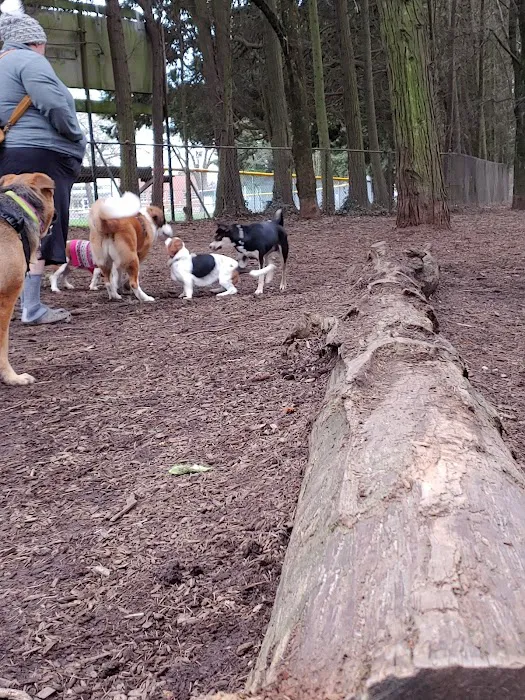 Normandale Dog Park 3