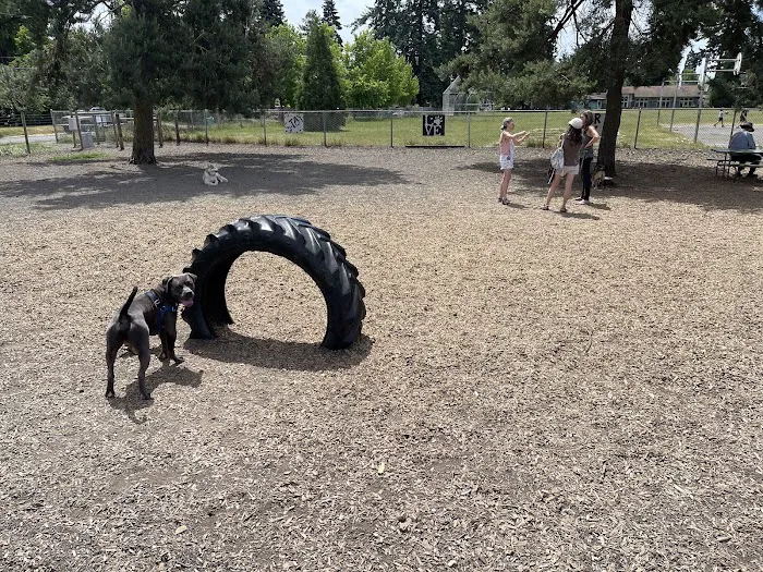 Off-Leash Dog Area 3