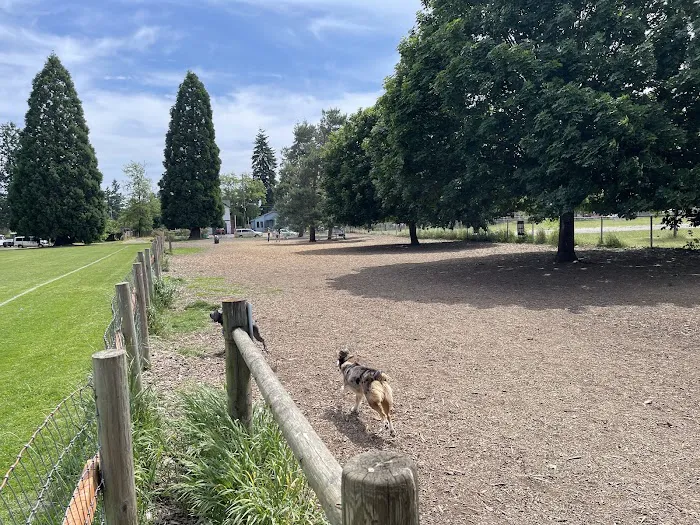 Off-Leash Dog Area 5
